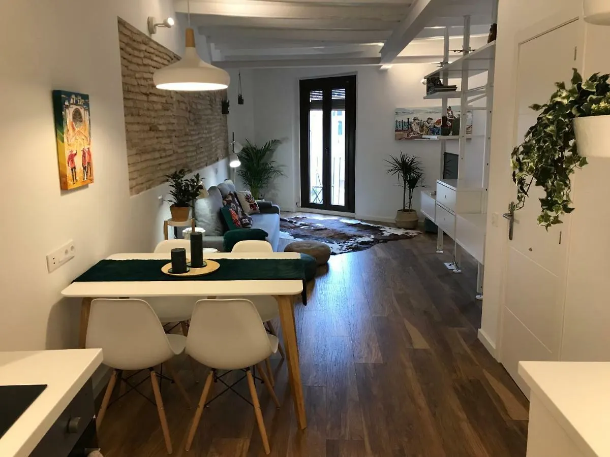 Lovely Apartments At Roman Circus Tarragona